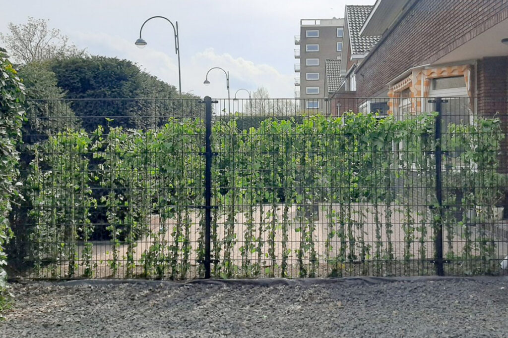 Hekwerk laten plaatsen in Hengelo