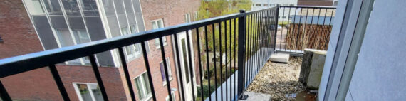 Balkonhek in Hasselt